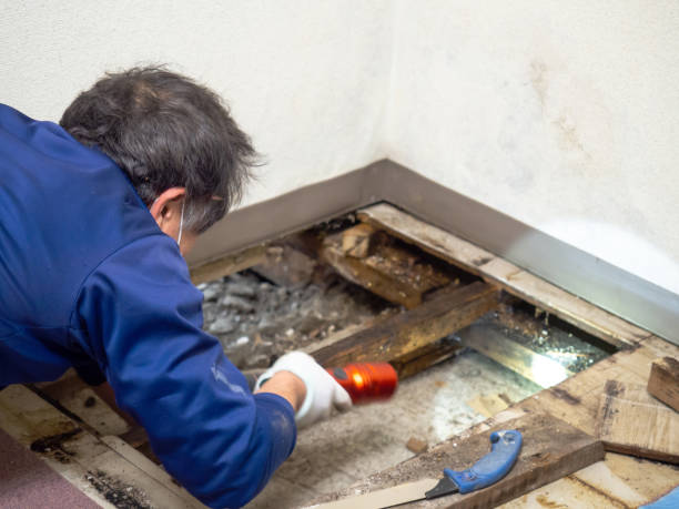 Best Bathroom Mold Remediation in Pinole, CA