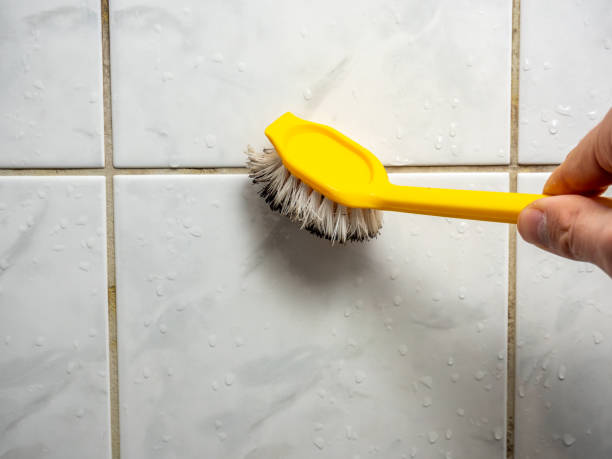 Best Post-Flood Mold Remediation in Pinole, CA